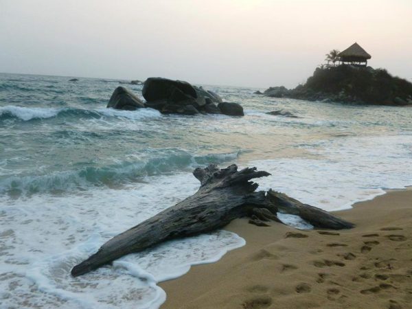 CAMPING PARQUE NATURAL TAYRONA - Image 2
