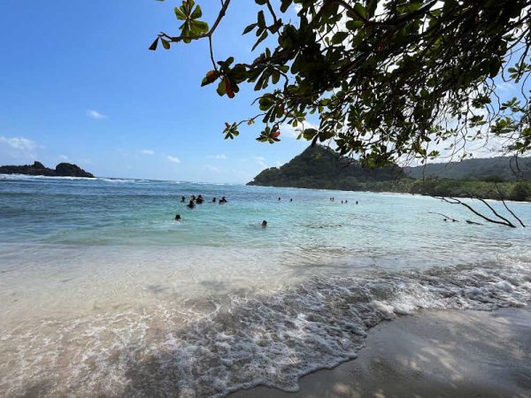 CAPURGANÁ - SAPZURRO - LA MIEL- SOLEDAD - Image 8