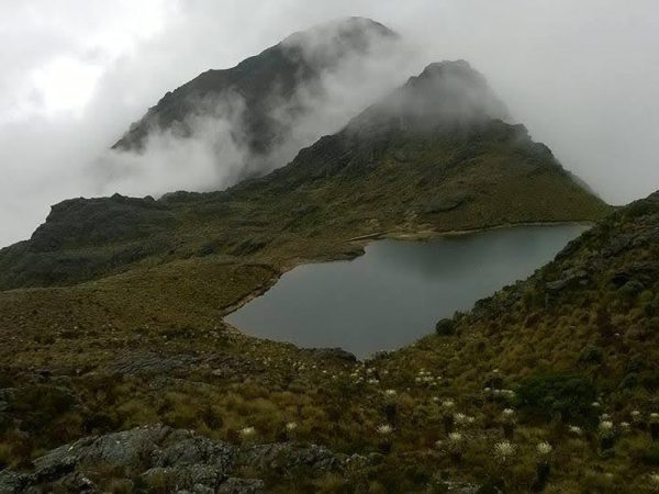 LAS TRES LAGUNAS VERDES - Image 5