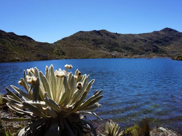 LAS TRES LAGUNAS VERDES - Image 6